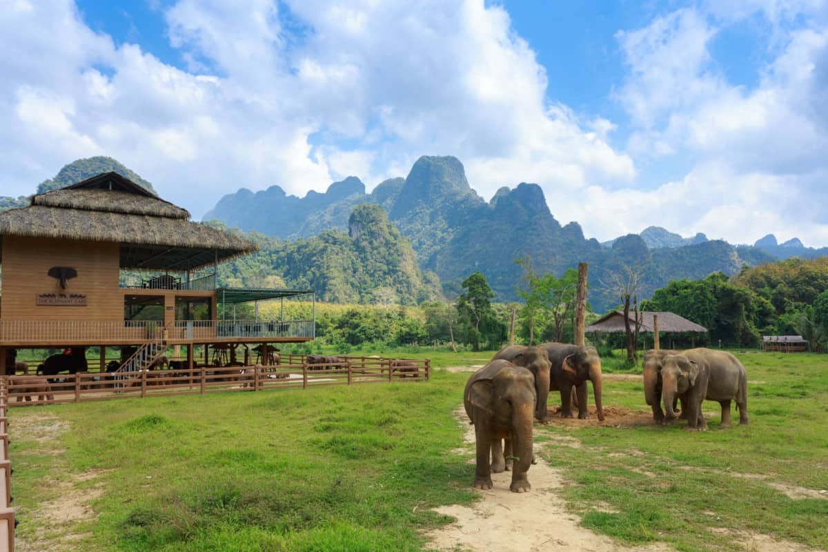 Elephant Hills - Khao Sok National Park