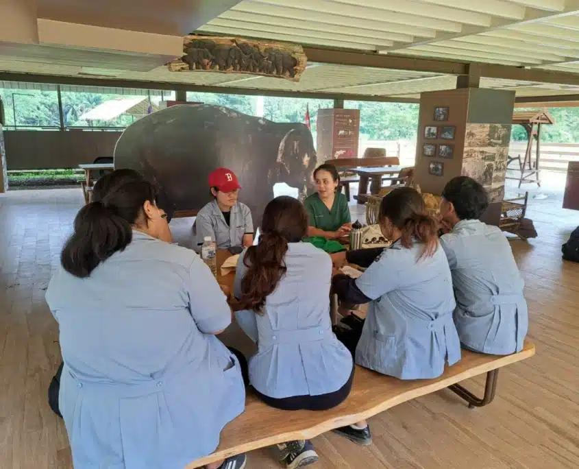 Veterinary students’ practical training at Elephant Hills 3