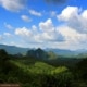 Thailand's Rainforest