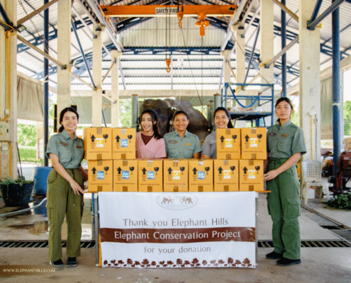 Medical supplies donated to Krabi Elephant Hospital 12