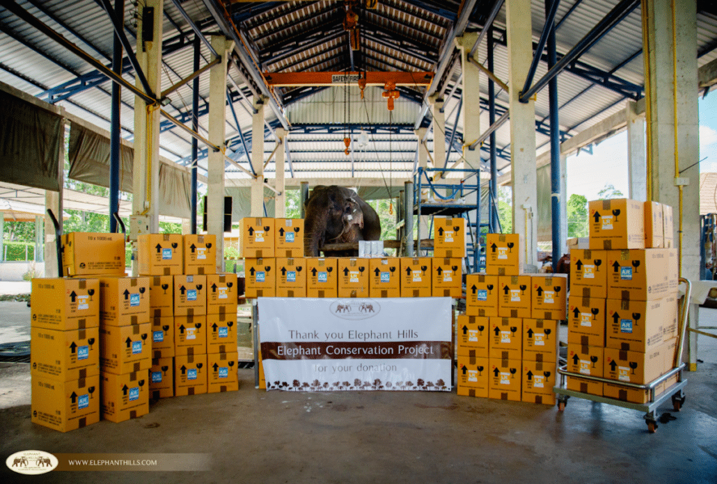 Medical supplies donated to Krabi Elephant Hospital 4