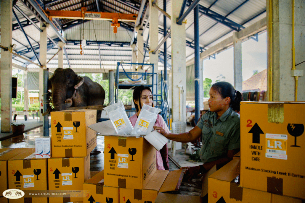Medical supplies donated to Krabi Elephant Hospital 3