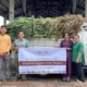 Elephant Hills donates grass for Krabi Elephant Hospital