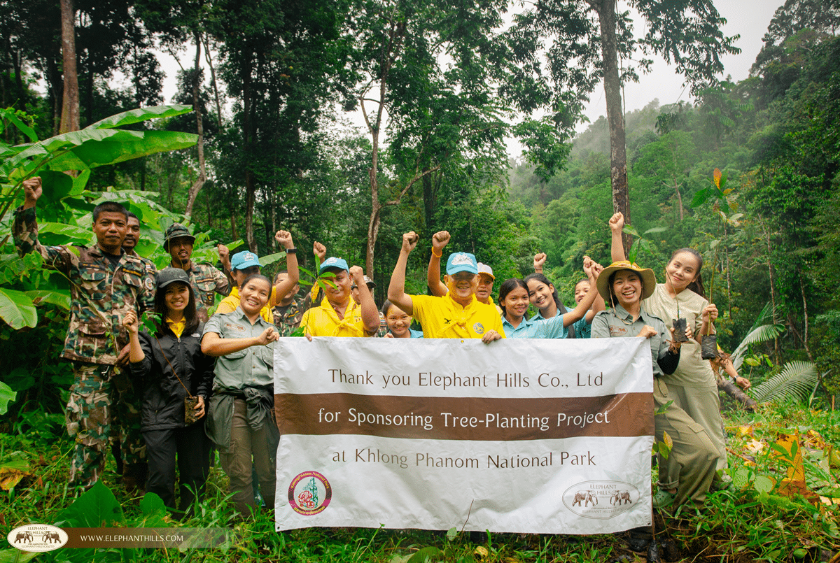 Tree planting at Khlong Phanom National Park