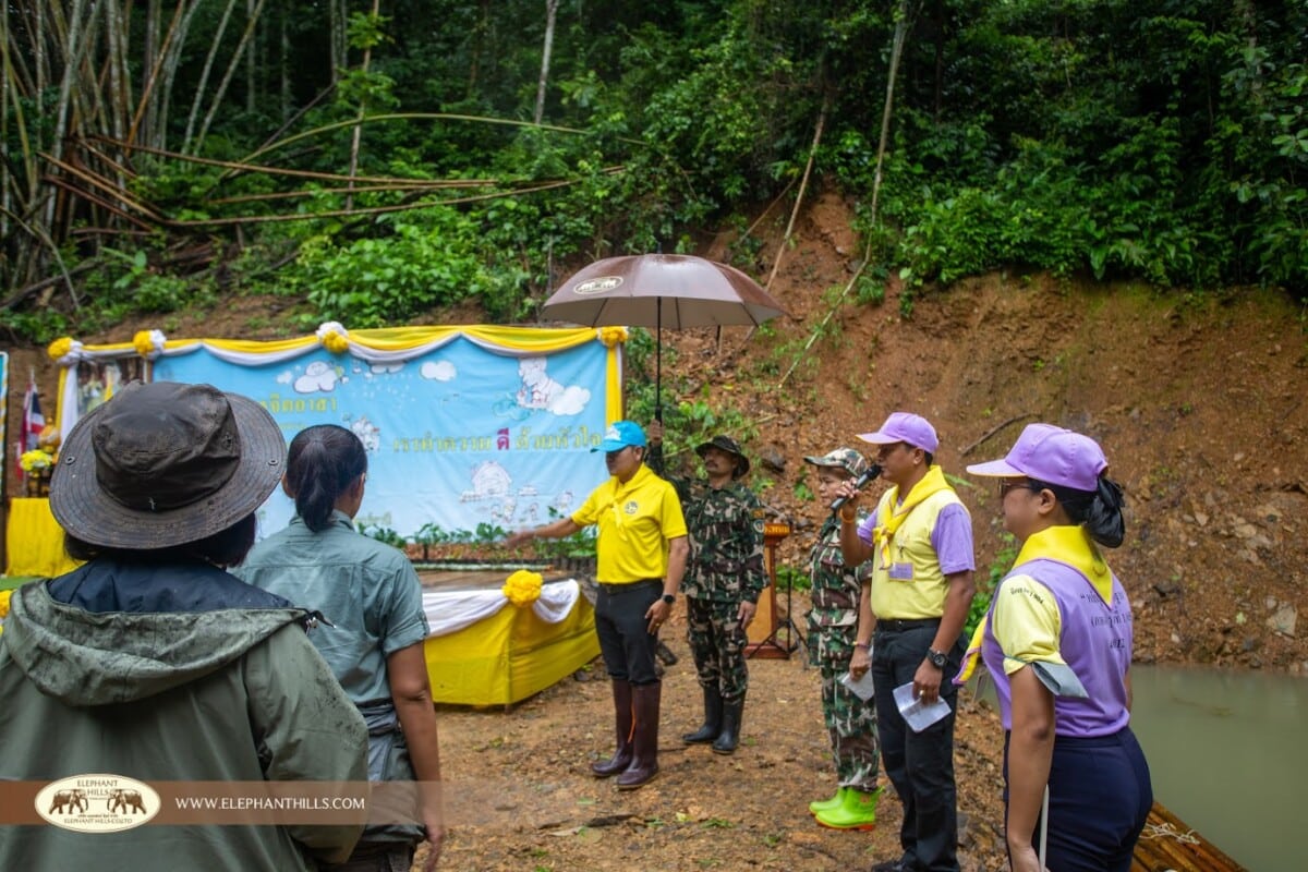 Opening ceremony of tree-planting event at Khlong Phanom National Park