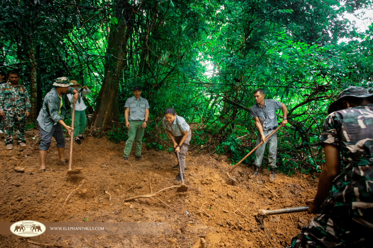 Elephant Hills staff digging the ground preparing a salt lick