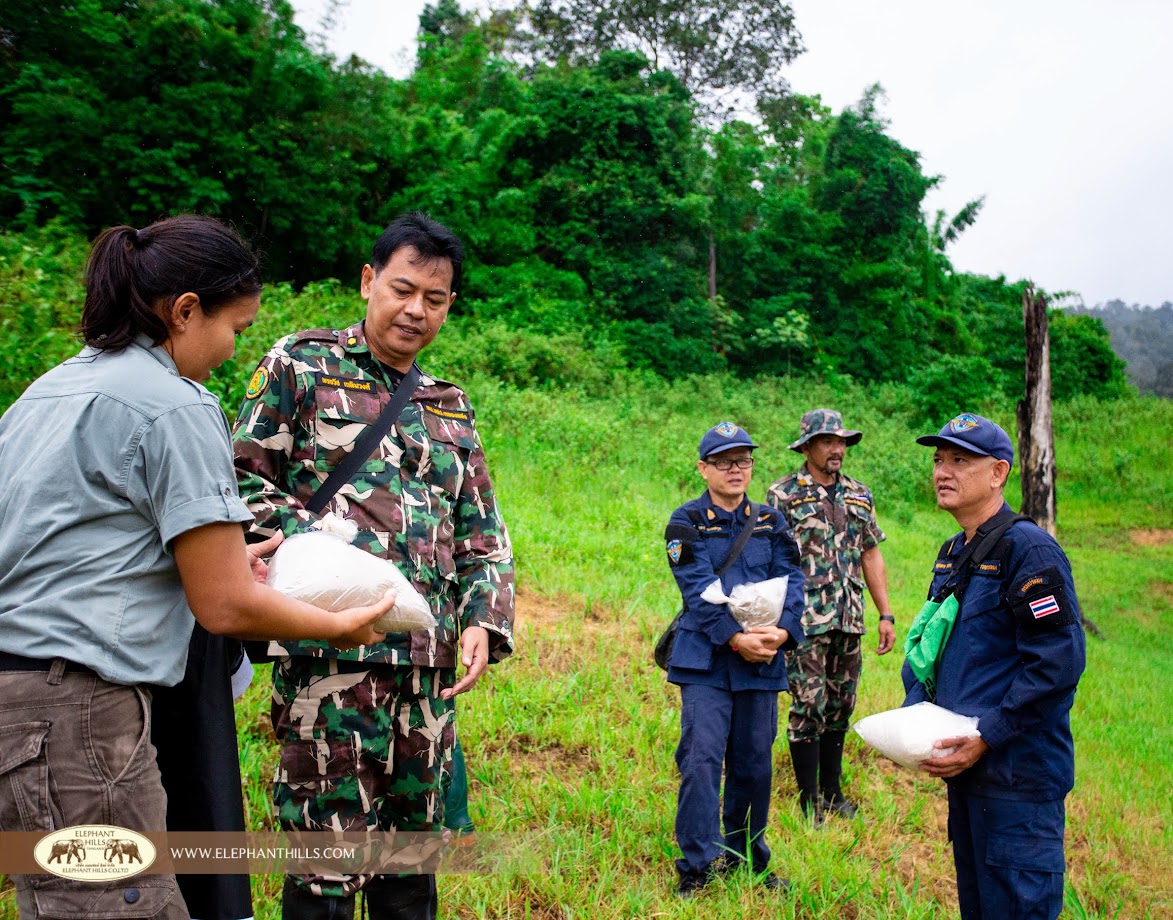 Elephant Hills staff, Wildlife Sanctuary chief and Department of Fisheries officials carrying salt