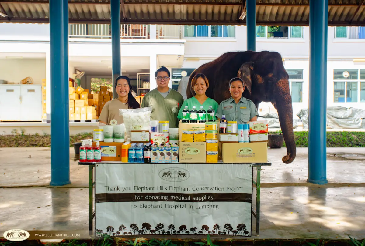 Lampang Elephant Hospital donation