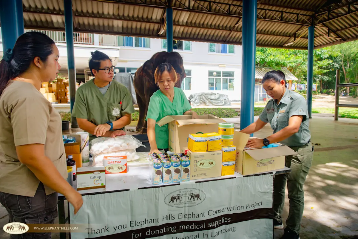 Medical supplies received by Lampang Elephant Hospital