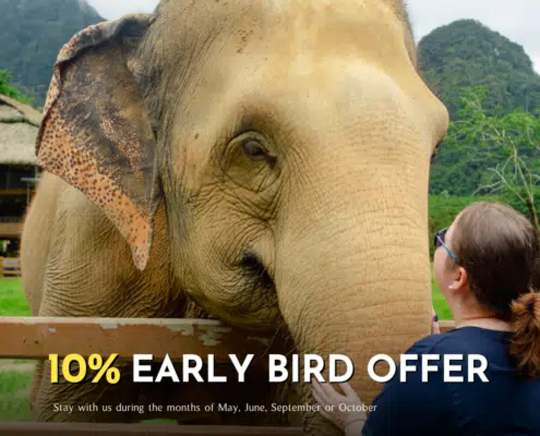 10% Early Bird Offer (Adult Only)