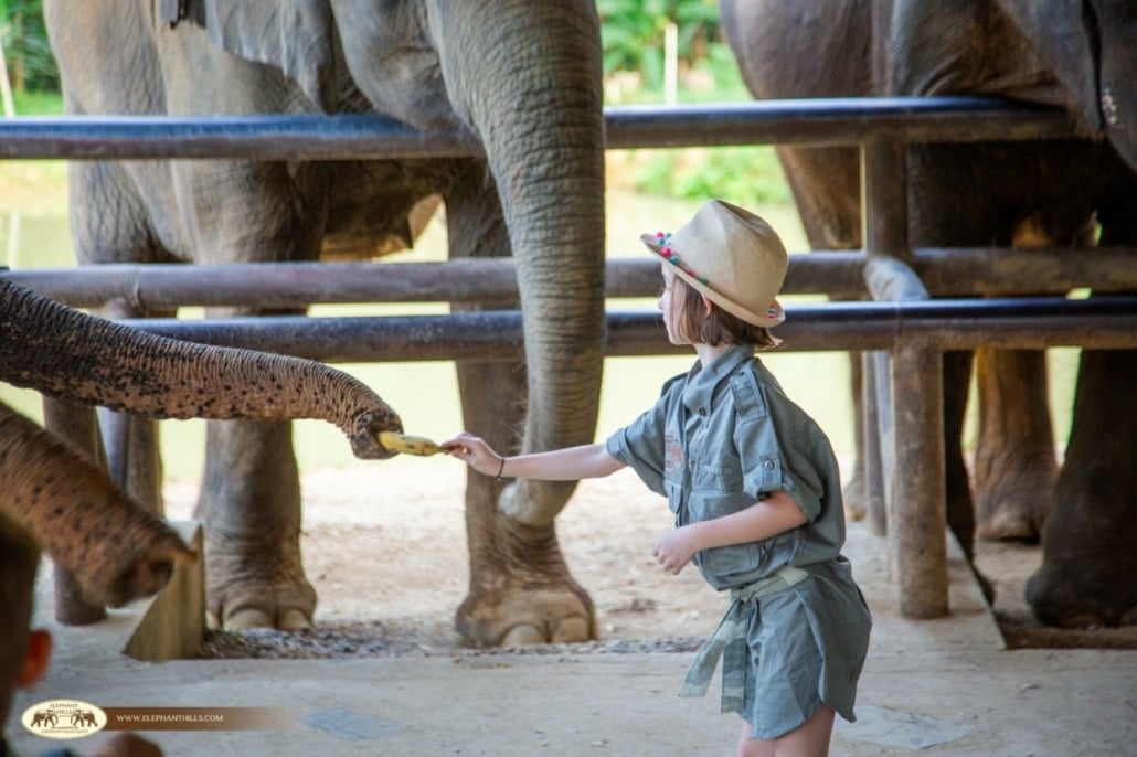 Family Friendly Elephant Hills