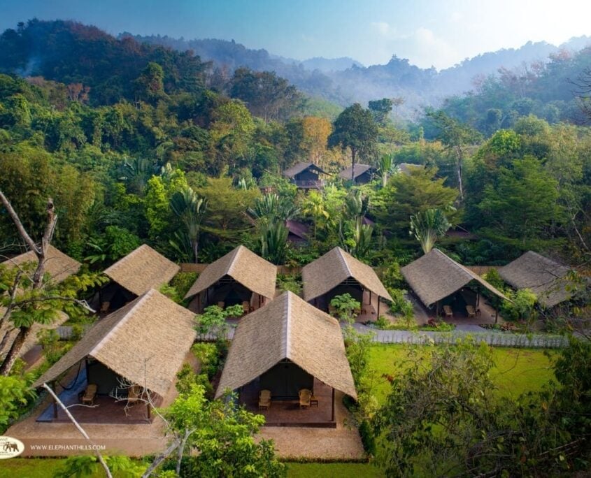 Elephant Hills Elephant Camp