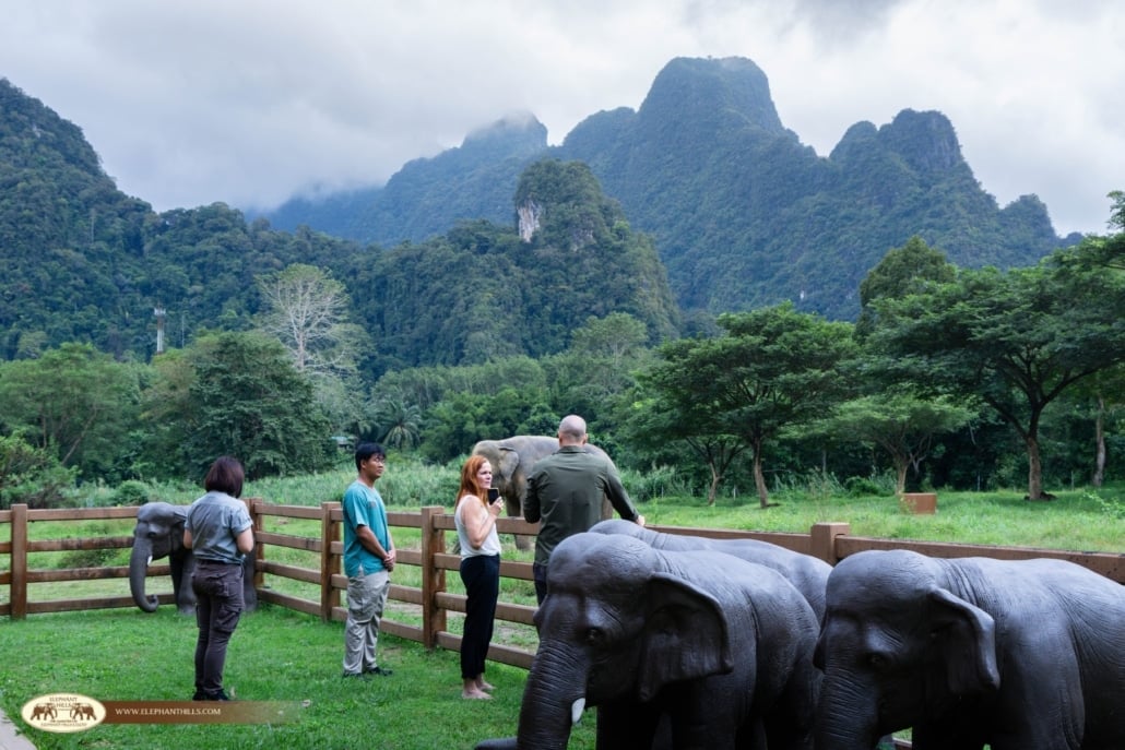 Elephant Hills Global Spirit