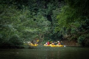 Guests paddling yellow inflatable canoes along a jungle river in Khao Sok