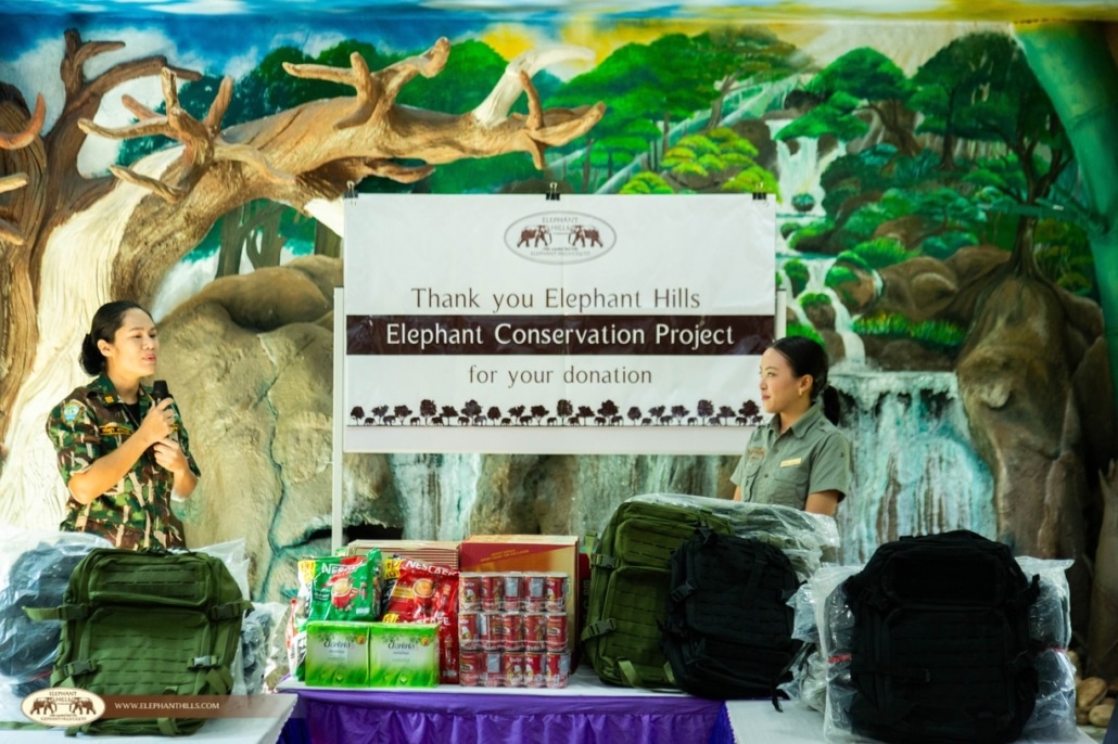 Thailand’s Rainforest Revival: What’s New in Khao Sok for 2026 6