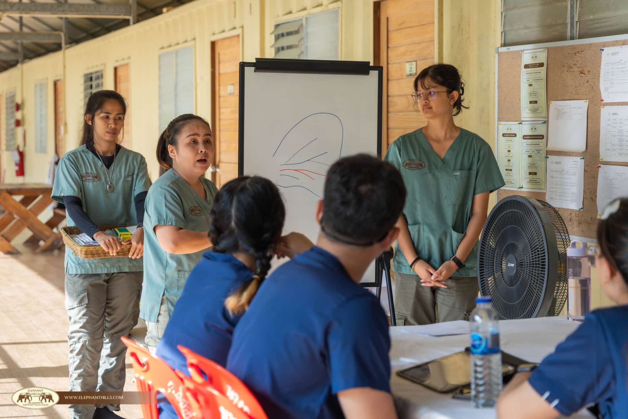 Veterinary Students Gain Hands-On Elephant Care Experience at Elephant Hills 2