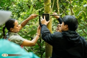 review the results, retrieve data, and assess the performance of each camera trap.