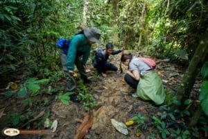 This data helps explain why certain locations have a high concentration of animal