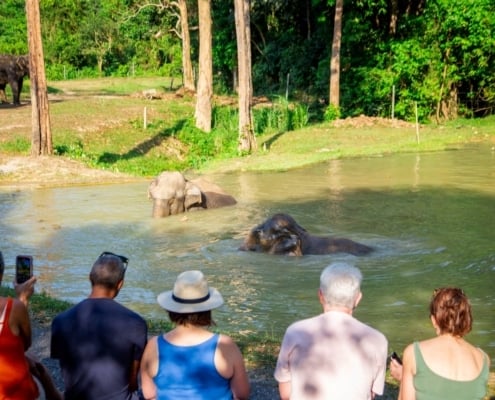 _MG_2023 The Ethical Elephant Experience 14