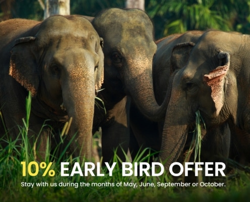 10% Early Bird Offer (Adult Only)