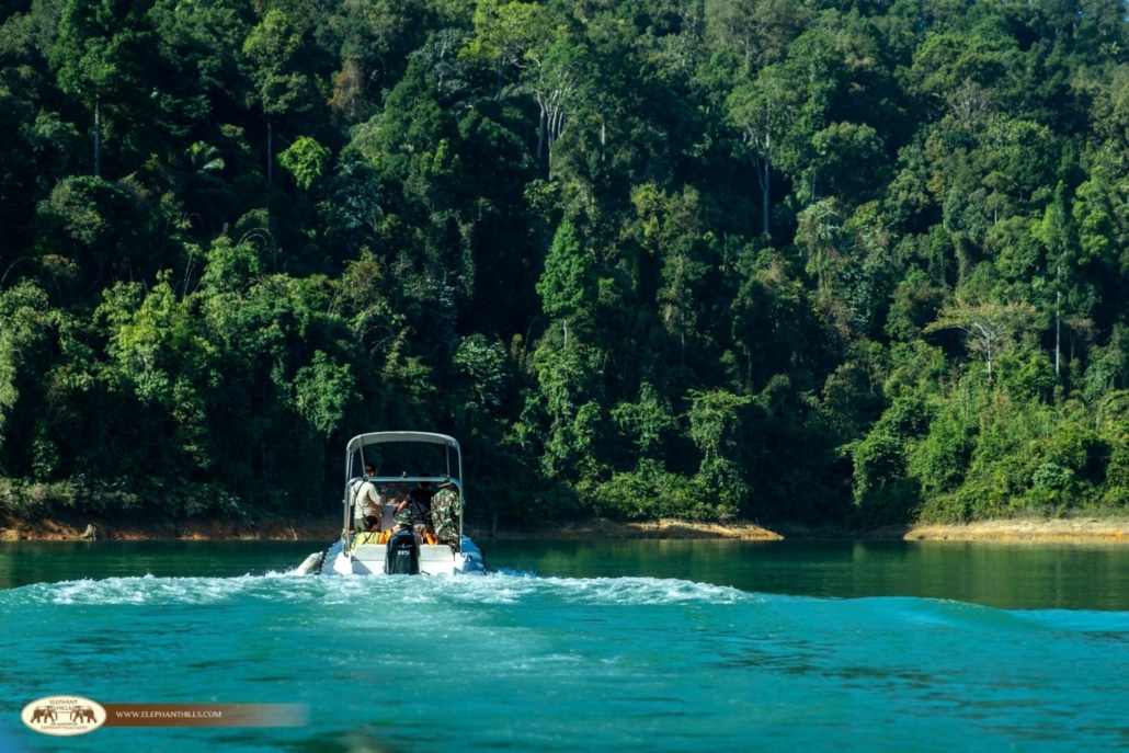 Elephant Hills Supports Wildlife Monitoring at Khlong Yan Wildlife Sanctuary