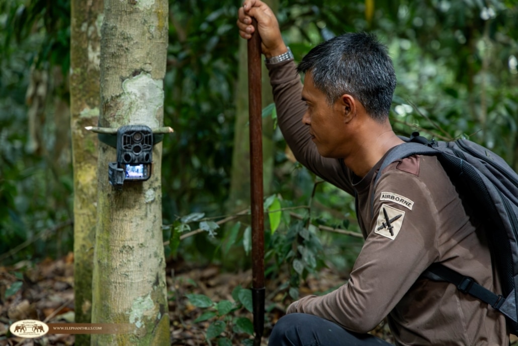 Elephant Hills Supports Wildlife Monitoring at Khlong Yan Wildlife Sanctuary