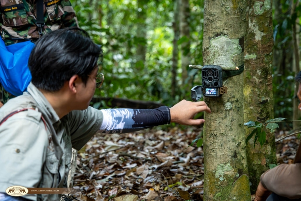 Elephant Hills Supports Wildlife Monitoring at Khlong Yan Wildlife Sanctuary