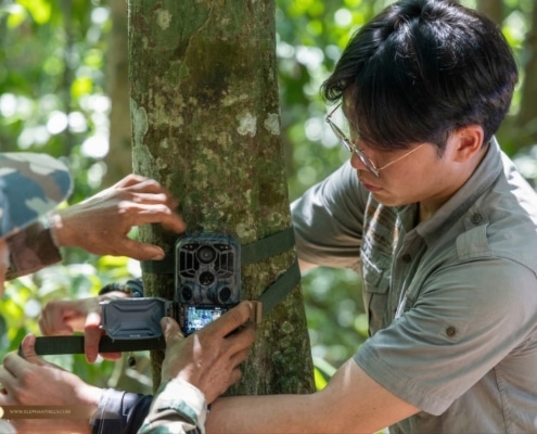 Elephant Hills Supports Wildlife Monitoring at Khlong Yan Wildlife Sanctuary