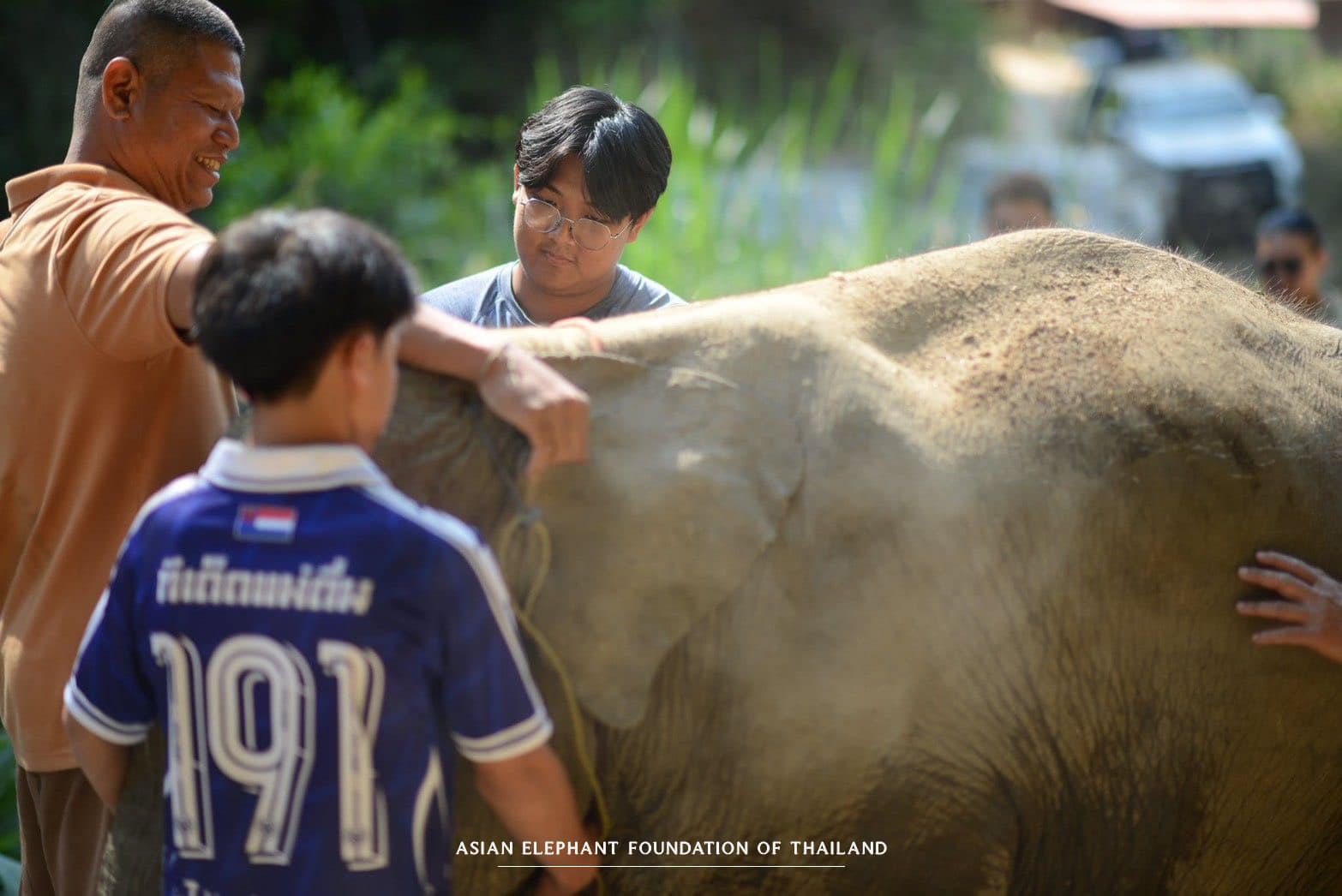 Providing essential veterinary care to elephants in need
