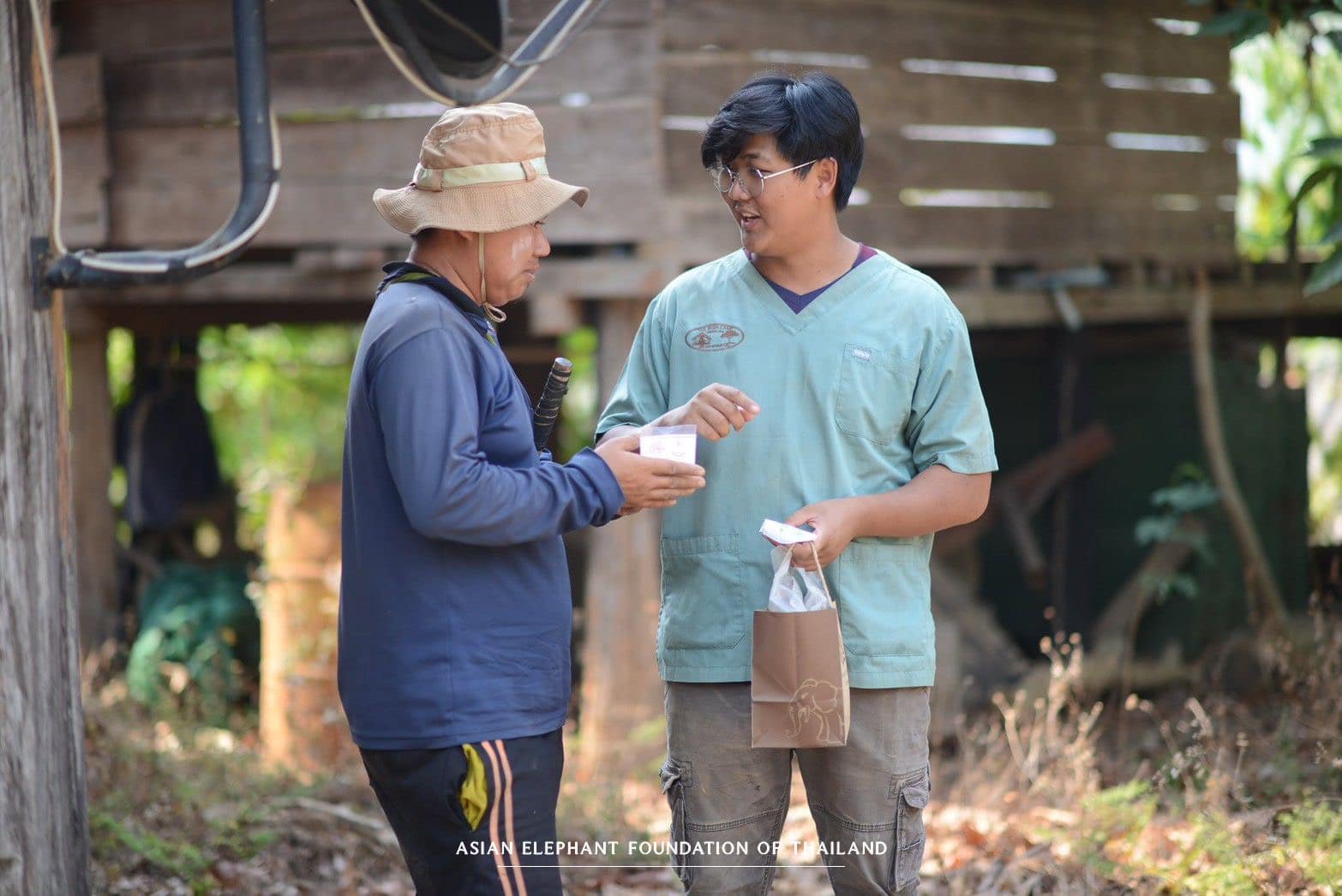 Providing essential veterinary care to elephants in need