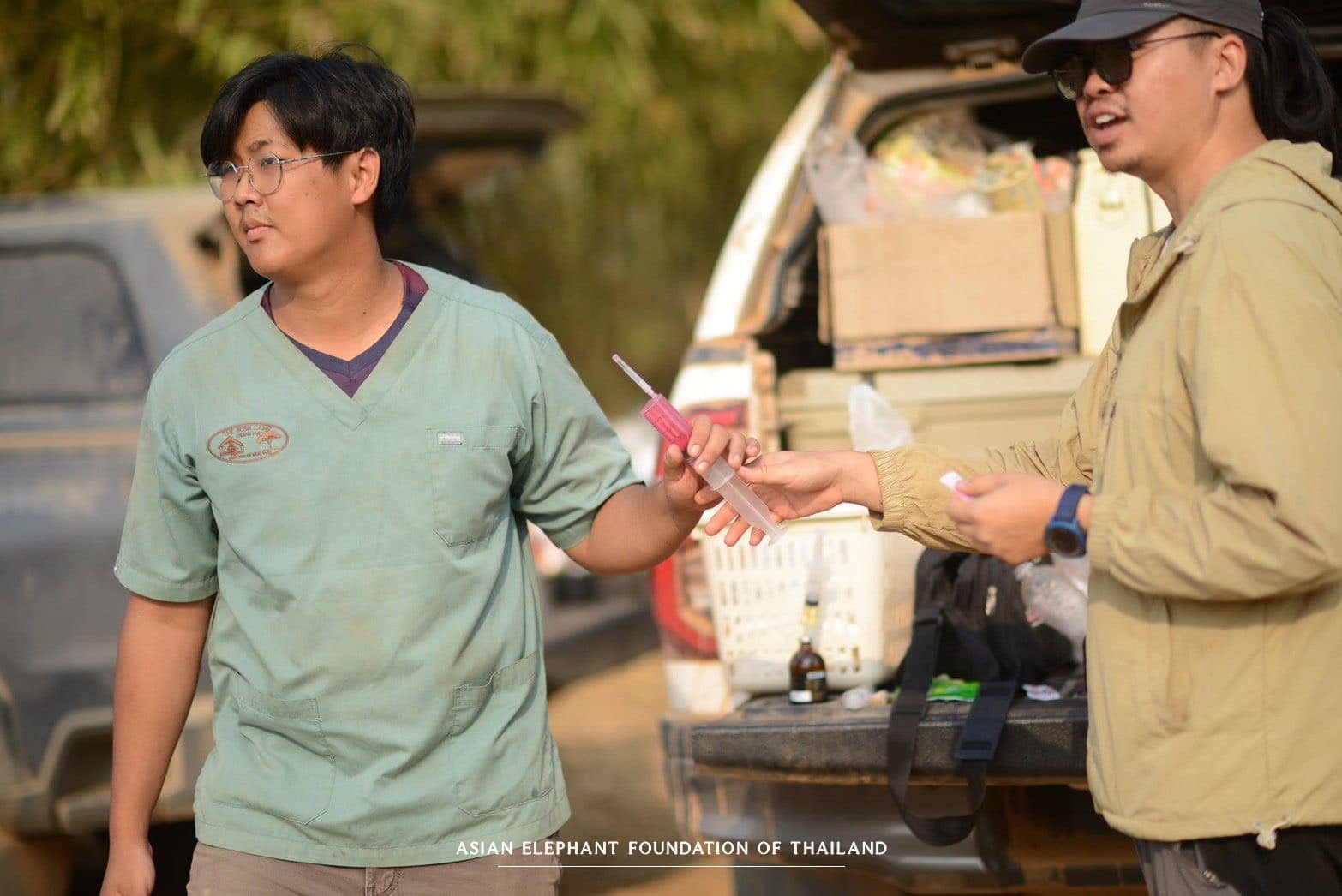 Providing essential veterinary care to elephants in need