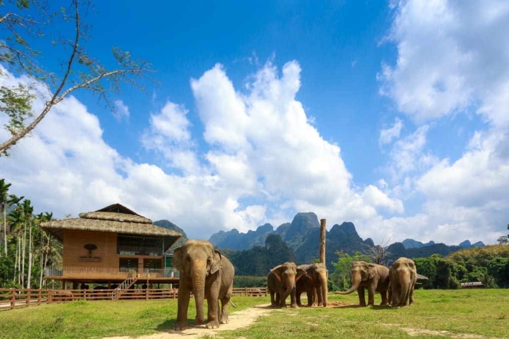 Elephant Hills