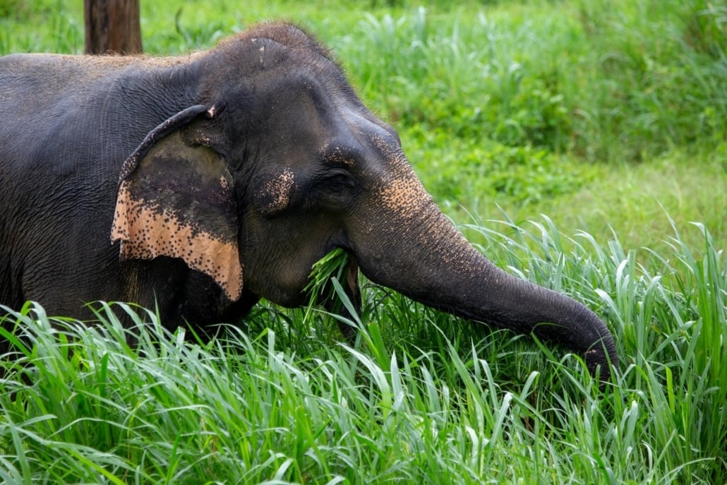 3-Day Jungle Safari