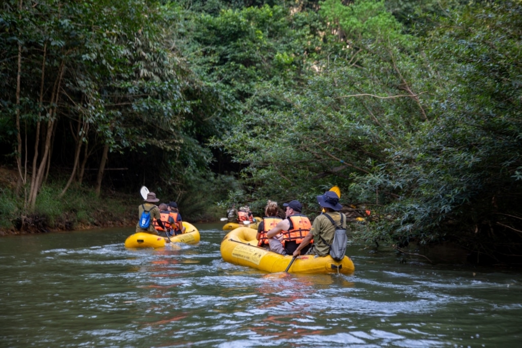 Green Season in Khao Sok: Jungle Monsoon Magic at Elephant Hills 3 Green Season in Khao Sok: Jungle Monsoon Magic at Elephant Hills 2