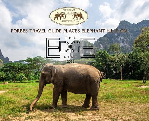 Elephant Hills Recognized by Forbes Travel Guide's 2025 "The Edge List" 1 Forbes Travel Guide's 2025 "The Edge List"