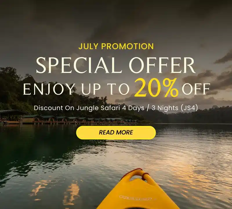 Special Offer