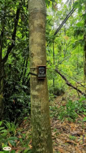 Elephant Hills Strengthens Its Commitment to Wildlife Conservation 7 Elephant Hills Strengthens Its Commitment to Wildlife Conservation 7