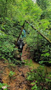 Elephant Hills Strengthens Its Commitment to Wildlife Conservation 2