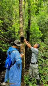 Elephant Hills Strengthens Its Commitment to Wildlife Conservation 3