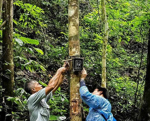 Elephant Hills Strengthens Its Commitment to Wildlife Conservation 1 Elephant Hills Strengthens Its Commitment to Wildlife Conservation 1