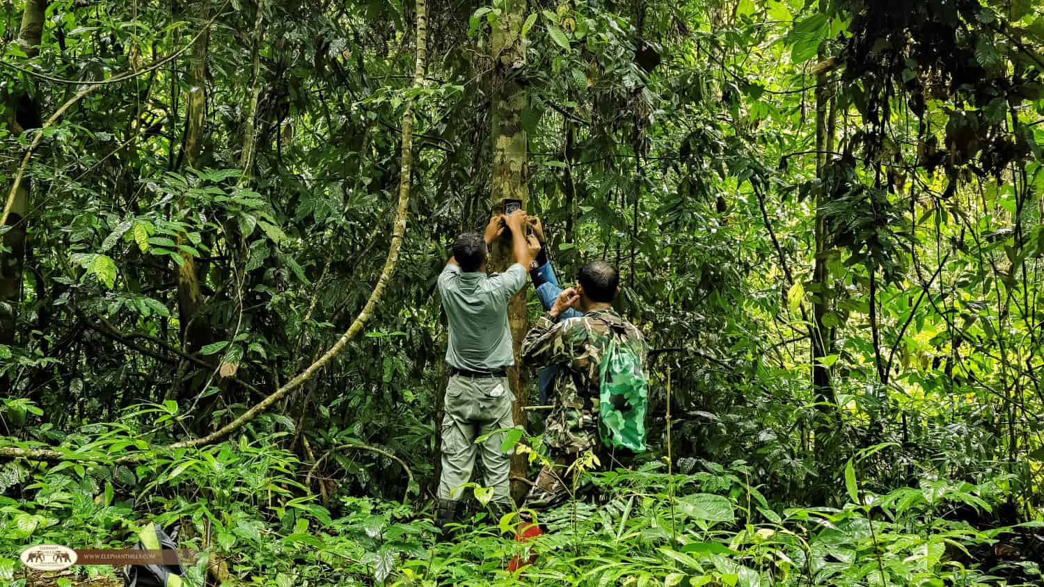 Elephant Hills Strengthens Its Commitment to Wildlife Conservation 1