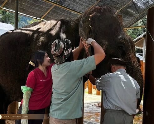 Elephant Hills Welcomes Future Veterinarians from Walailak University 1 Elephant Hills Welcomes Future Veterinarians from Walailak University 1